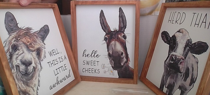 Funny Wall Decor: Llama This is Awkward/Donkey Hello Sweet Cheeks/Cow Herd That