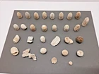 Civil War Bullets & shrapnel Dug & Dropped Central VA Mixed Lot of 30