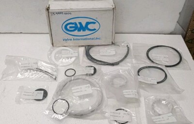 SET BESTEHEND AUS 5 SÄTZEN GWC VENTIL GG900-1-BF-E-GO KIT P/N: 23-9999-00115 ...