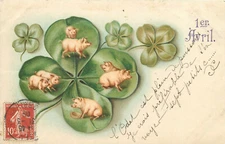 Luck drawn pigs shamrock surrealism fantasy old chromo Litho greetings postcard
