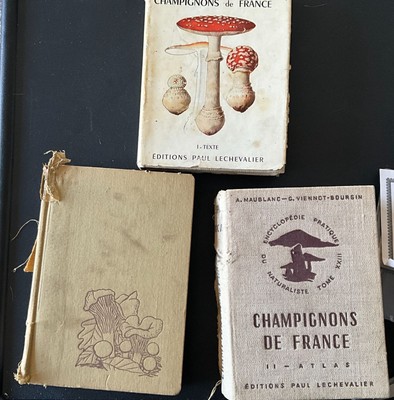 Bundle of 3 - Les Champignons Dans La Nature Hardcover Book By J. Jacquetin
