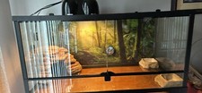reptile terrarium tank