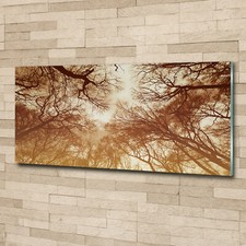 Quadro in vetro acrilico quadri da parete stampa 125x50 decorazione fiori e piante bosco
