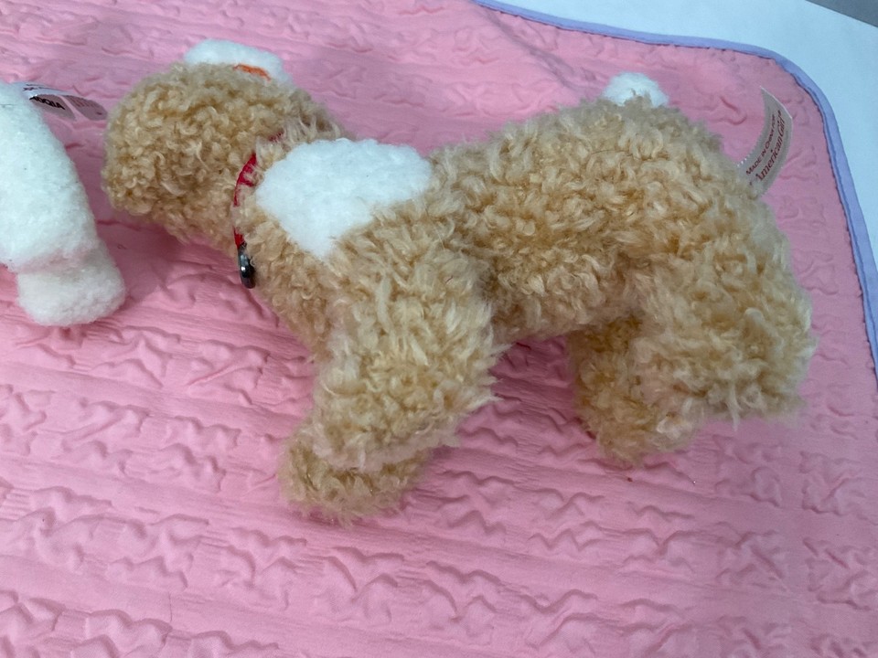 1987-2013) Molly's Dog Bennett A Playful Pup | APPROXIMAT