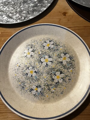 Temperware By Lenox Dinner Plates Dewdrop