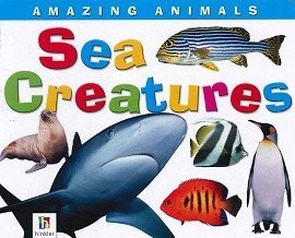 Amazing Animals Sea Creatures
