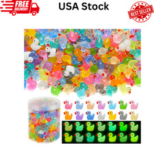 240Pcs Luminous Mini Resin Ducks, Tiny Duck Bulk Glow in the Dark Small Plastic.