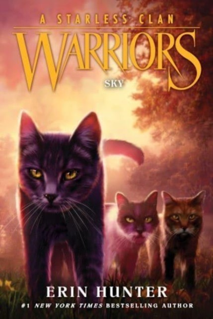 Warriors: A Starless Clan #2: Sky by Erin Hunter (Paperback Book)