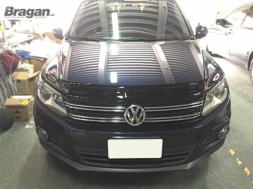 Accesorios de escudo acrílico endurecido Volkswagen Tiguan 07-12 701318185631 | eBay