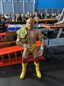 wwe defining moments hulk hogan