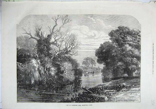 Old Antique Print 1871 Fine Art View Tichborne Park Alresford Hants River 19th