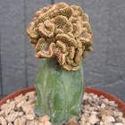 Foto 14 di 24