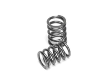 Supertech Fits Honda D16A/D15B Single Valve Spring - Set of 16