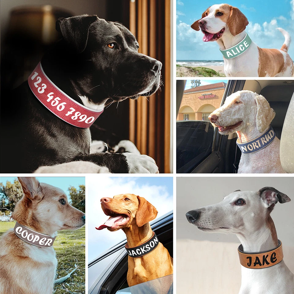 Soft Leather Dog Collar Heavy Duty 2 inch Wide Personalized Pet Name Print L/XL - Image 4 of 4