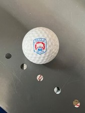 LOGO GOLF BALL- 1 ORIGINAL WISCONSIN DELLS CHIEFS HIGH SCHOOL