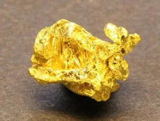Gold specimen Crystallized Gold  1.3 Grams  Round Mtn. Mine Nye Co. NV