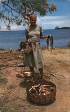Roseta Rosa Martinica Trois-Rivieres: mujer pescadería bien suministrada 1971 Ste.