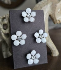 White flower Magnetic Pins . Pageant, Equestrian, Clothing dress magnetic pins