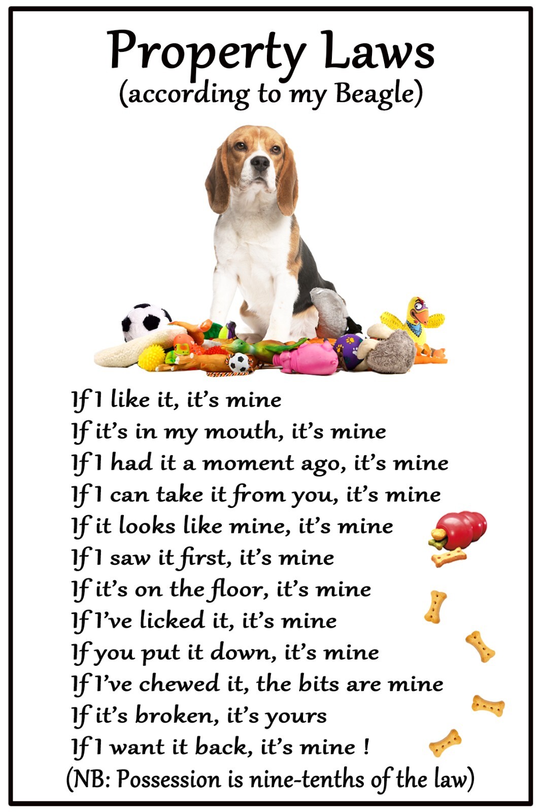 Beagle Hound Dog Lovers Gift  Flexible Magnet Dog Property Laws