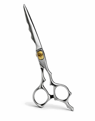 Friseurschere SILBER Schere Friseursalon Friseur Profi 6,5''
