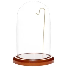 Walnut MDF Base Glass Display Dome Cloche 4x7 for Collectibles and Decor
