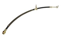 Bremsschlauch ABE C819010ABE, Rechts