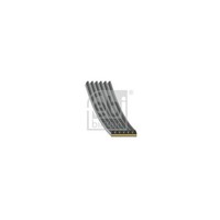 febi Bilstein Keilrippenriemen 185005 FüR Subaru Toyota