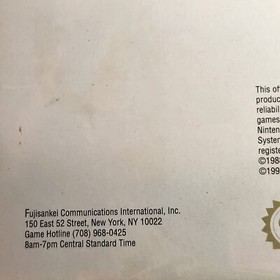 Pool of Radiance Nintendo NES Manual Only D&D Advanced Dungeons & Dragons Japan