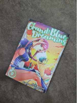 Grand Blue Dreaming 17 (Paperback)