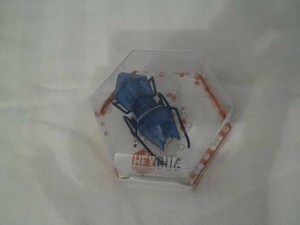 hexbug micro ant