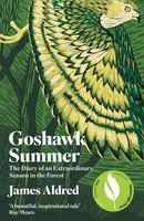 Goshawk Summer James Aldred