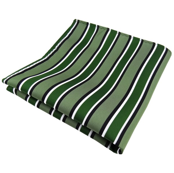 Tigertie Einstecktuch In GrüN Schwarz Weiß Gestreift - Tuch Polyester-image