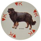 Hovawart German Famous Dogs of the World Single Vintage Playing Card Hong Kong