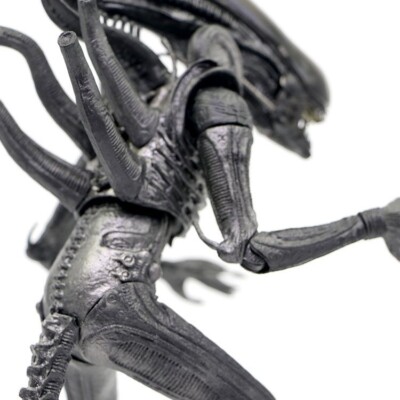 エイリアン　16cm Amazon.com: NECA - Aliens - 7