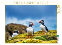 Calvendo Puzzle Back To Nature - With The Bird That Loves The Sea. | 1000 Pieces