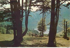 Postcard - Romania - Romania - Tusnad - Lacul Sf Ana - Lake Sfinta Ana - CP