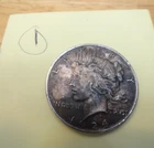 1924 PEACE SILVER DOLLAR - m