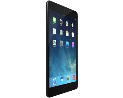 Apple iPad Mini (1st Gen) 7.9-inch, 16GB, Black and Slate