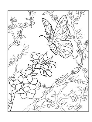 Dover Publications Creative Haven: Beautiful Butterfly
