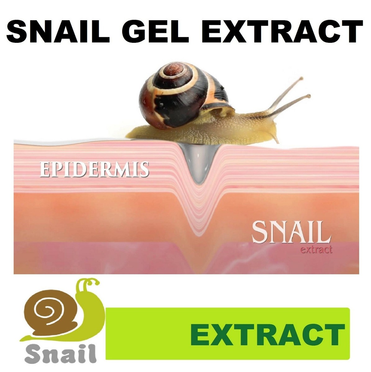 SHELLTONE,CELLTONE BABA DE CARACOL SNAIL GEL ORIGINAL. Snail cream