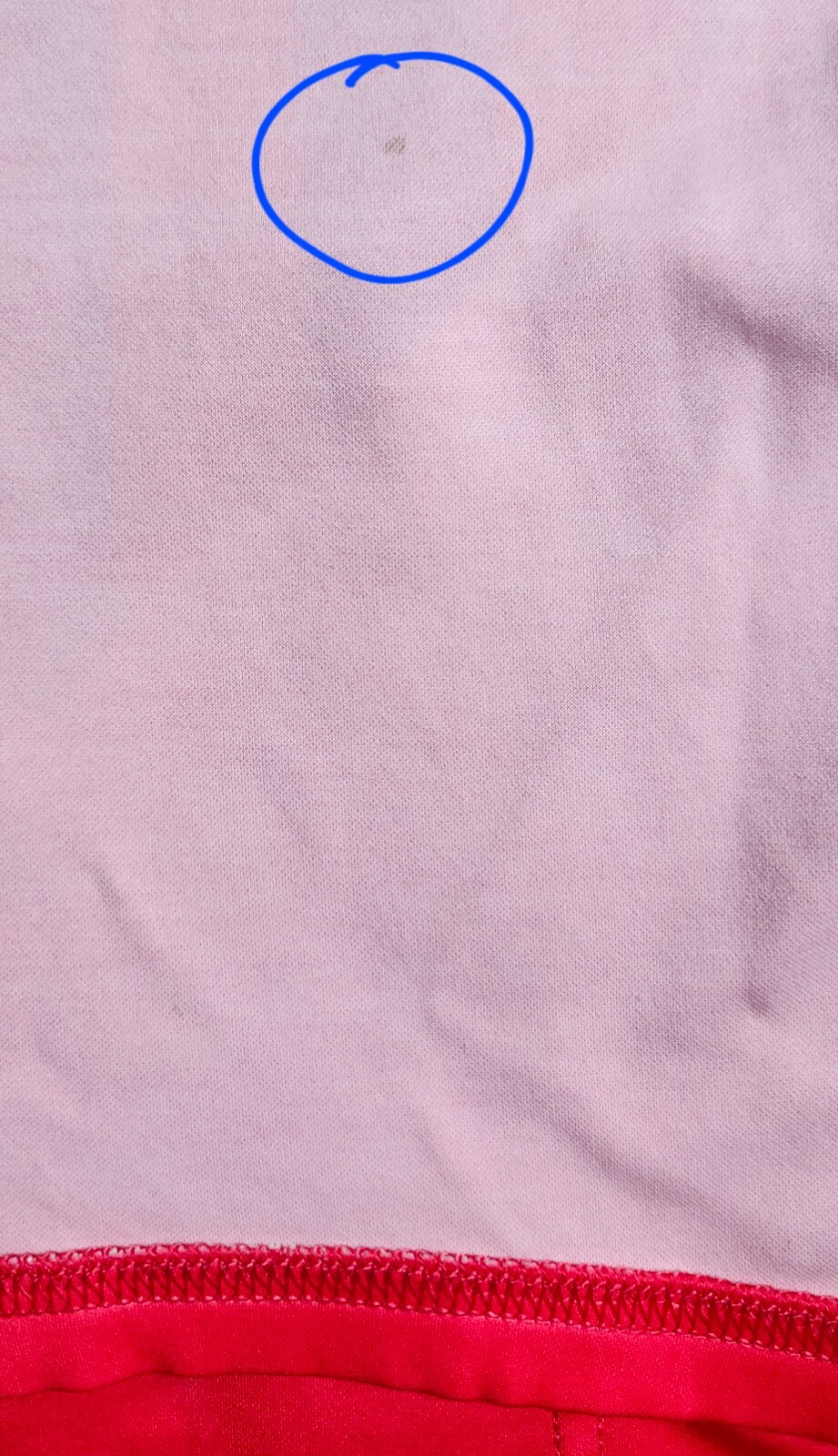 Foto 8 di 24