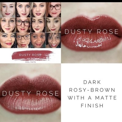 LipSense Liquid Lip Color Authentic SeneGence New Sealed Dusty Rose Free Ship