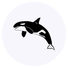 24 x 'Orca' Stickers - for Crafts, Scrapbooking and Labelling (SK00041870)