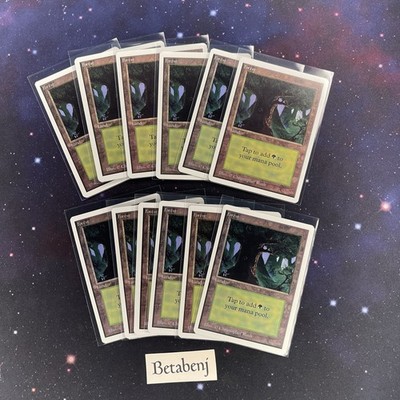 1x MTG Unlimited Forest Version C from Estate Collection