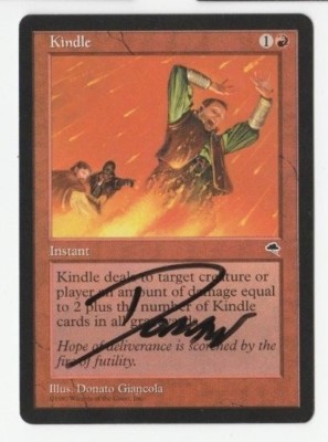 KINDLE - ARTIST SIGNED - DONATO GIANCOLA - LIGHT PLAY - TEMPEST