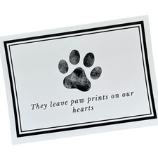 Pet Sympathy Cards for Dogs and Cats - 16 Paw Print Pet Sympathy Cards with E...