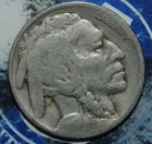 1919 D Buffalo Nickel  {{{ 1C24
