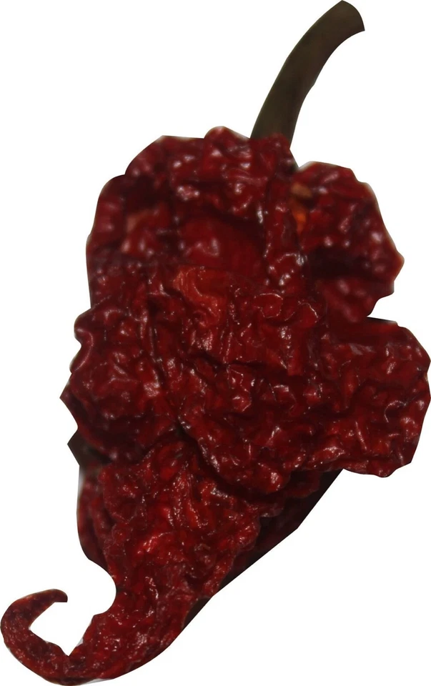 Carolina Reaper подарочный набор Wicked Reaper острый соус специи сухой перец чили порошок - Изображение 4 из 4