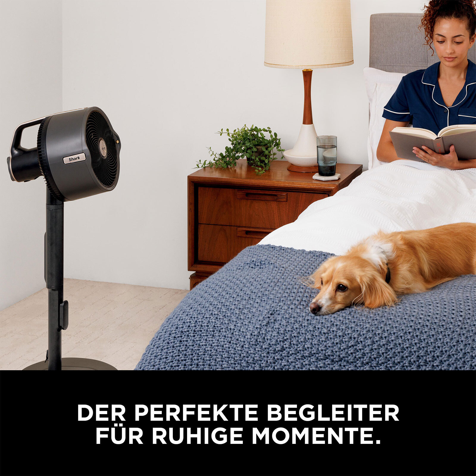 Bild 4 von 12
