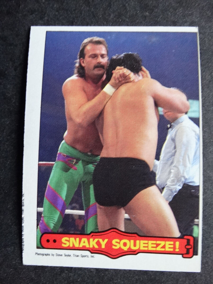 1985 OPC O-Pee-Chee WWF WWE Series 2 Wrestling Cards Complete Your Set U  Pick